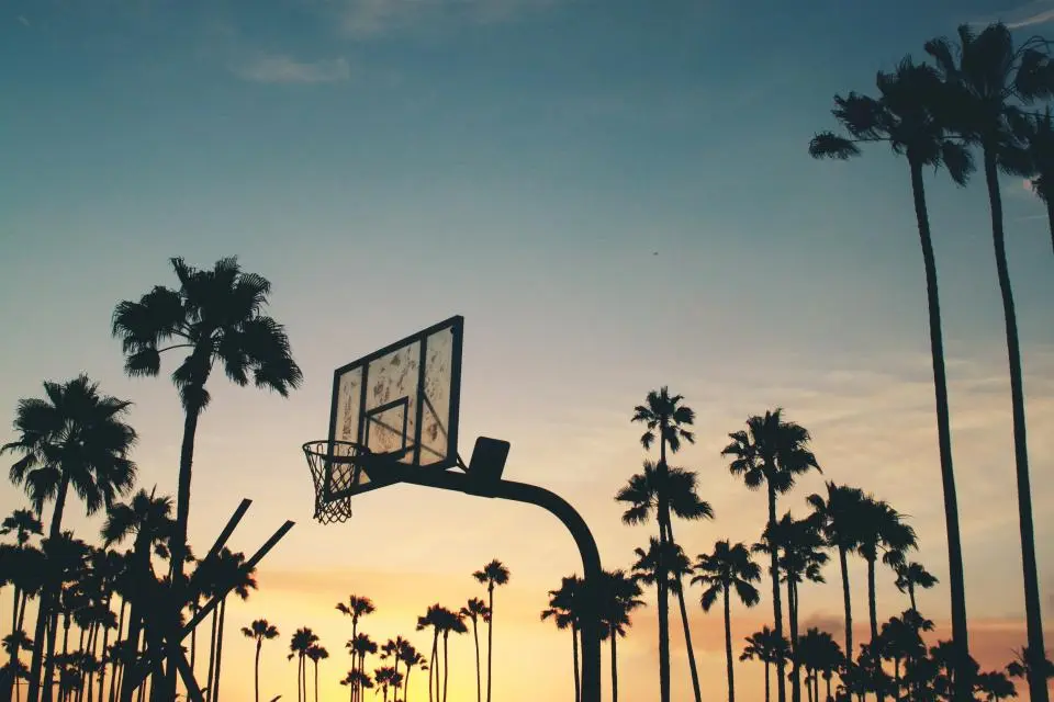 Gün batımında palmiyeler önünde bir basketbol potası